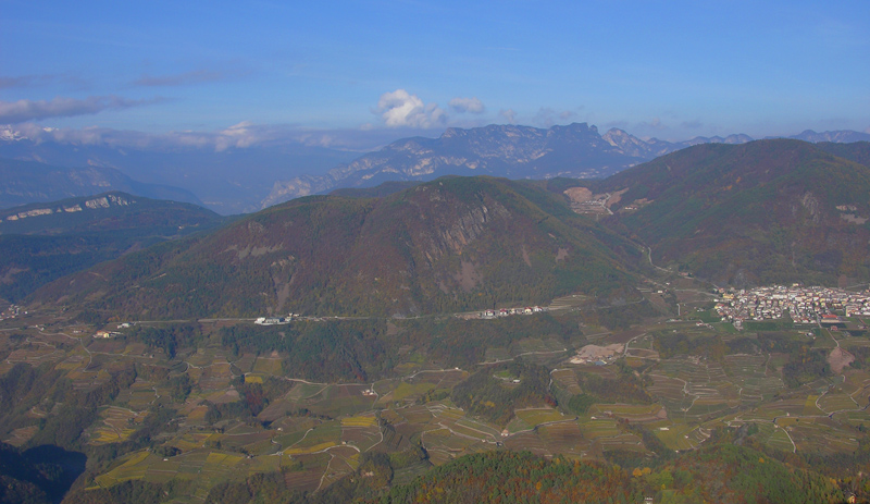 Nei boschi del mauretto..quando il gatto non c''�...